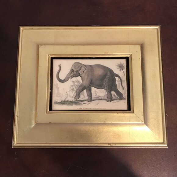 Antique Gold Framed 19th Century Elephant Print - Picture 1 of 7